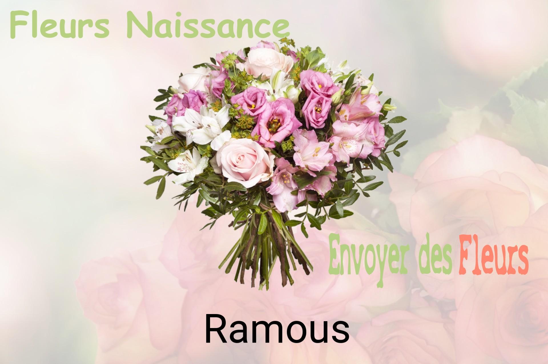 Bouquet de fleurs de naissance livré à Ramous